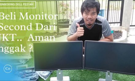 Pengalaman Beli Monitor Second Dell P2214H 22 Inch Dari Jakarta, Pecah Nggak sampai PKU ?